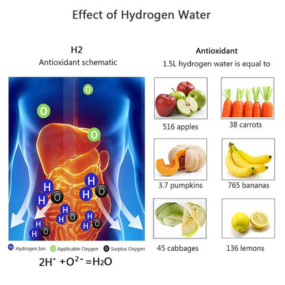 Hydrogen Water Bottle